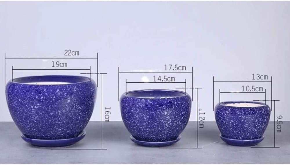 手描き染付大鉢 井上匠 染付十薬文鉢 砥部焼/中田窯/7寸リム皿